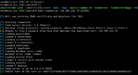 Vulnstack1